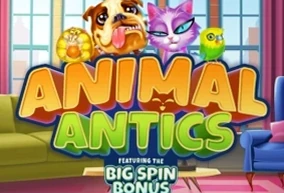 Animal Antics
